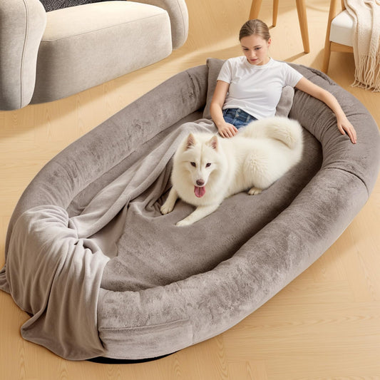 large dog and owner relaxing on human-sized dog bed in living room