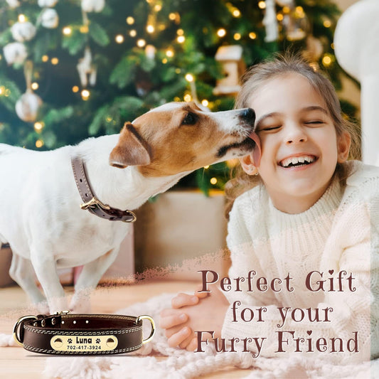 best collar for puppy training