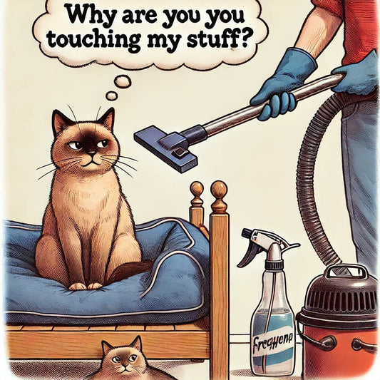 Cat Bed Maintenance: Keeping It Clean and Fresh