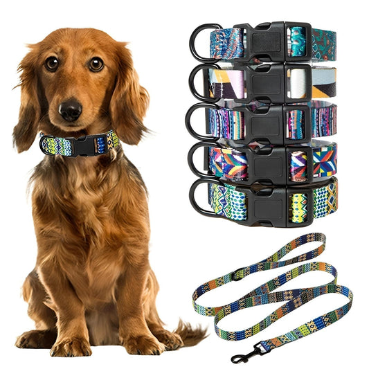 Dog Collars