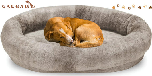 golden retriever sleeping on human-sized orthopedic dog bed