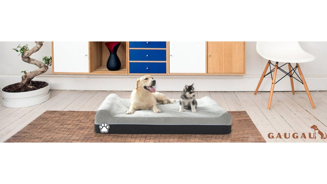 Why Eco-Friendly Dog Beds Are Worth It