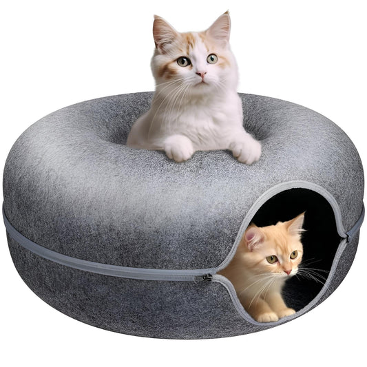 Cat cozy in tunnel bed