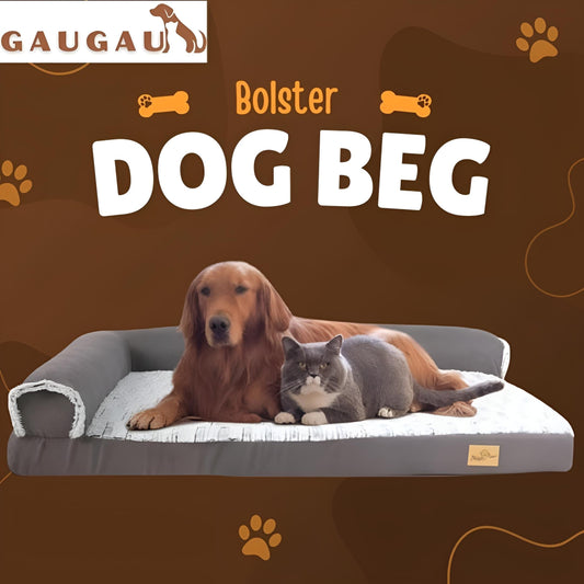 Best Orthopedic Dog Beds Reviews: Real Customer Insights & Top-Rated Picks for 2025