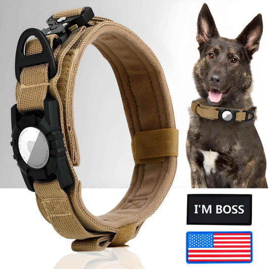 dog wearing AirTag collar for easy tracking at home