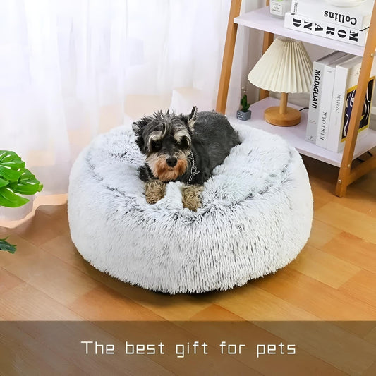 small dog sleeping in small round dog bed