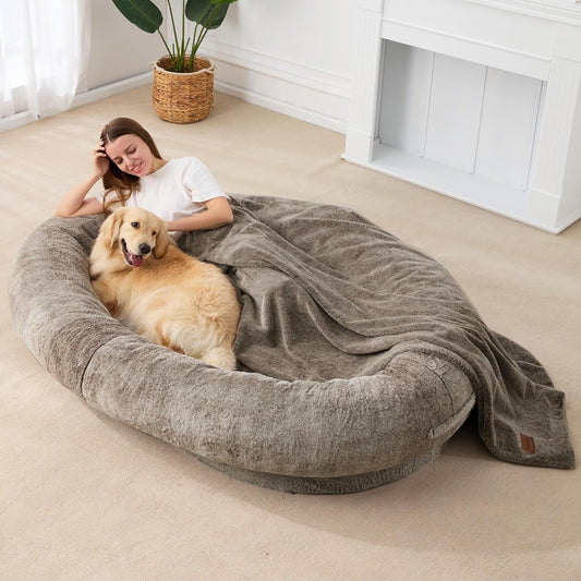 Large dog on human-sized bed