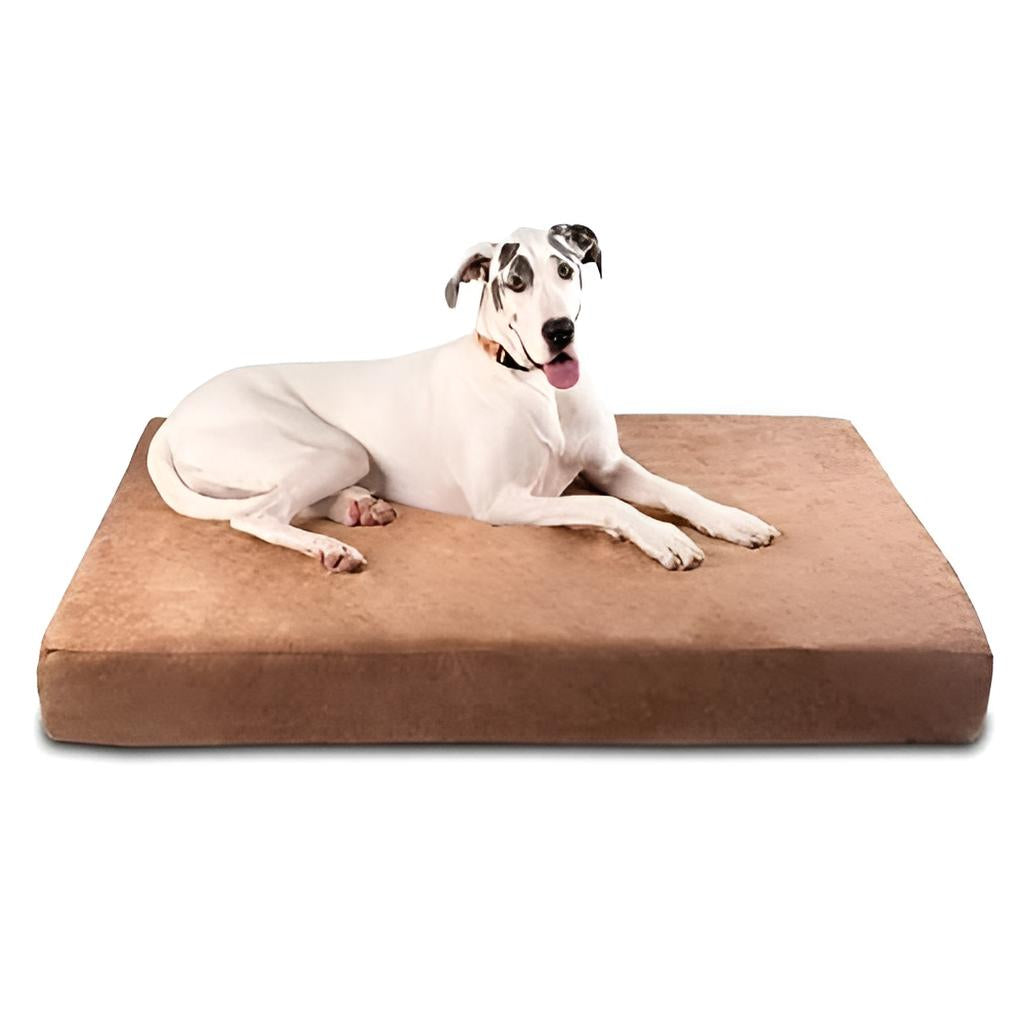 Choosing an Orthopedic Dog Bed