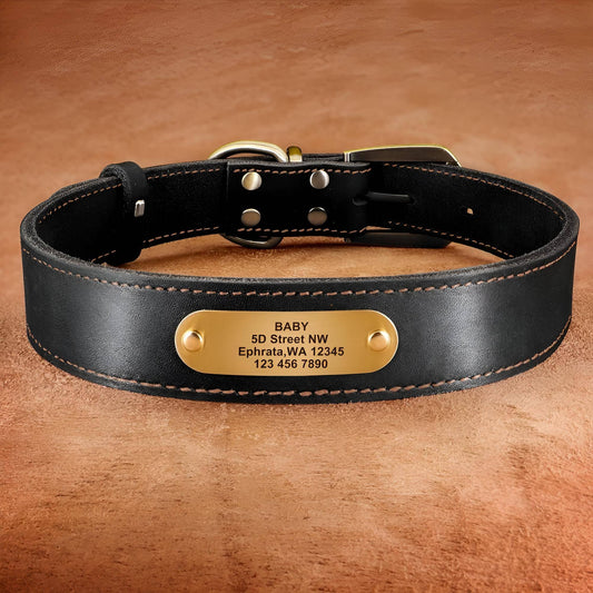 Personalized Dog Collar | Custom Genuine Leather Dog Collar with name plate & Leash | GauGau