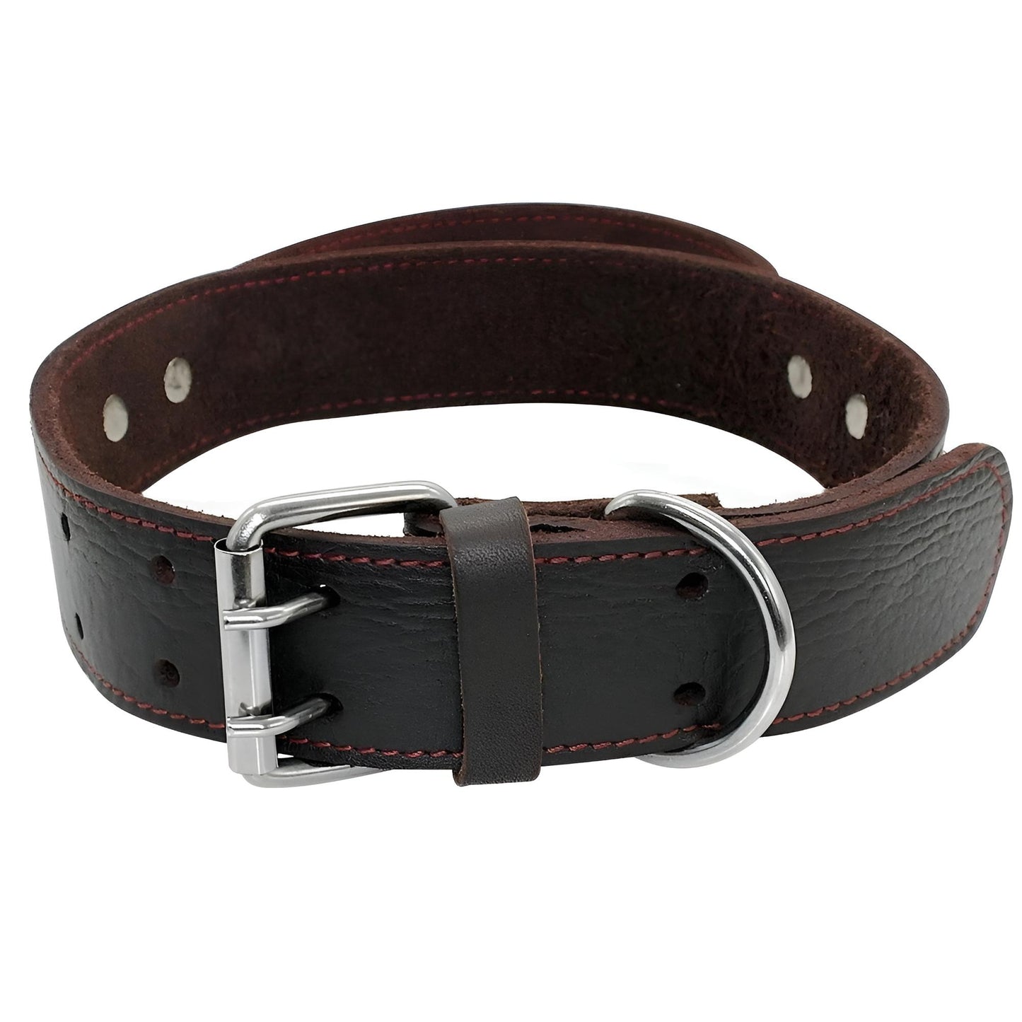 Custom Leather Dog Collar with Quick Control Handle