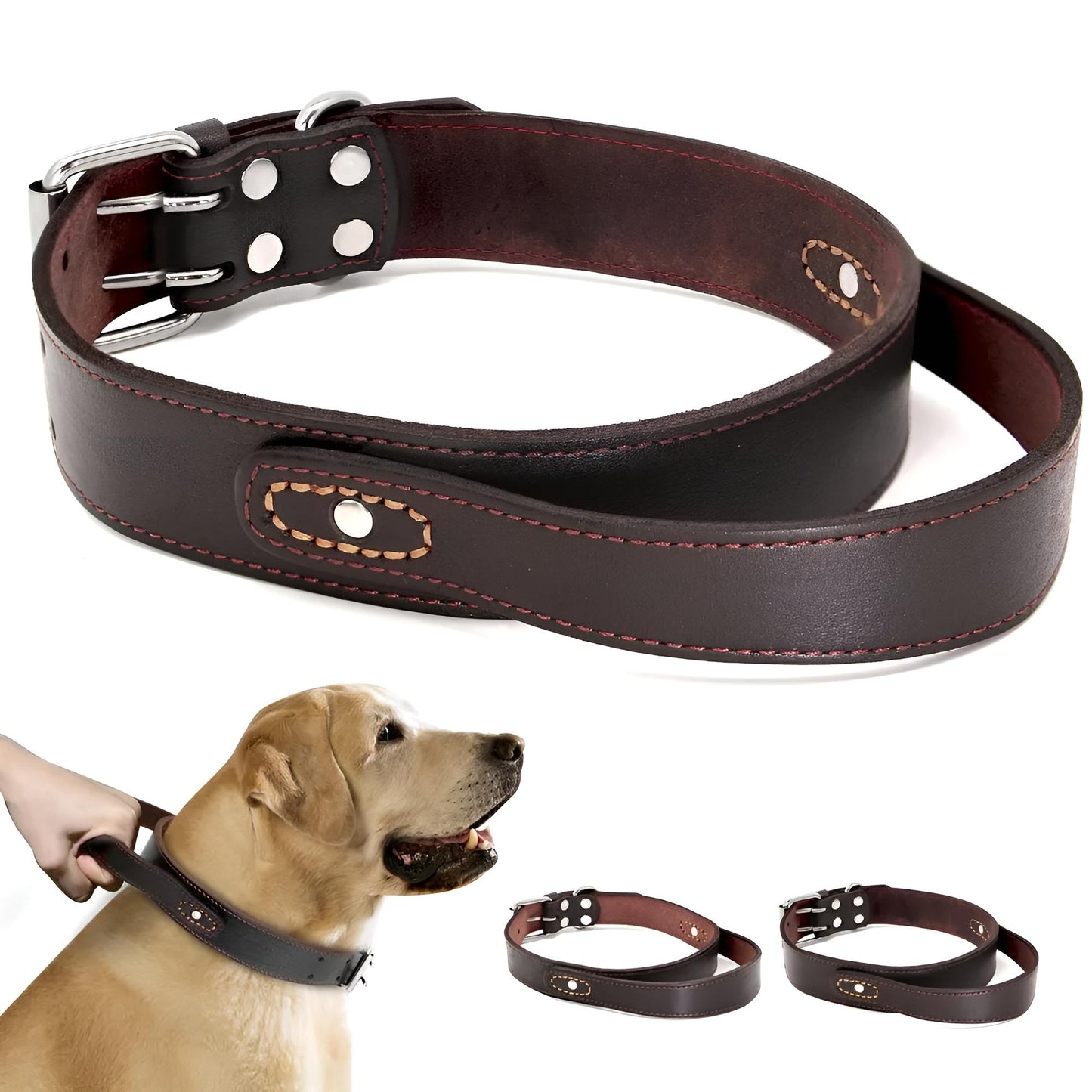 Custom Leather Dog Collar with Quick Control Handle Gaugau