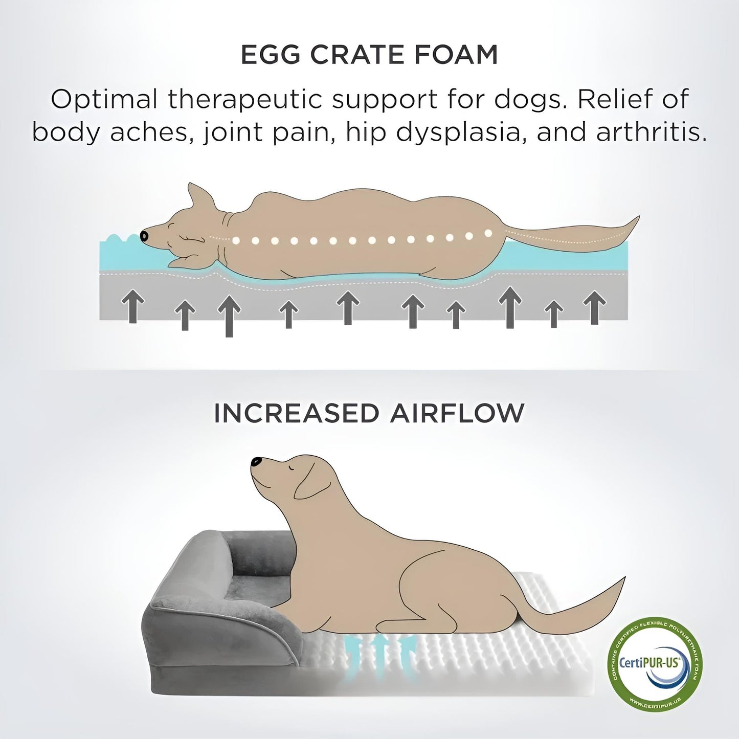 Egg crate foam bolster dog bed