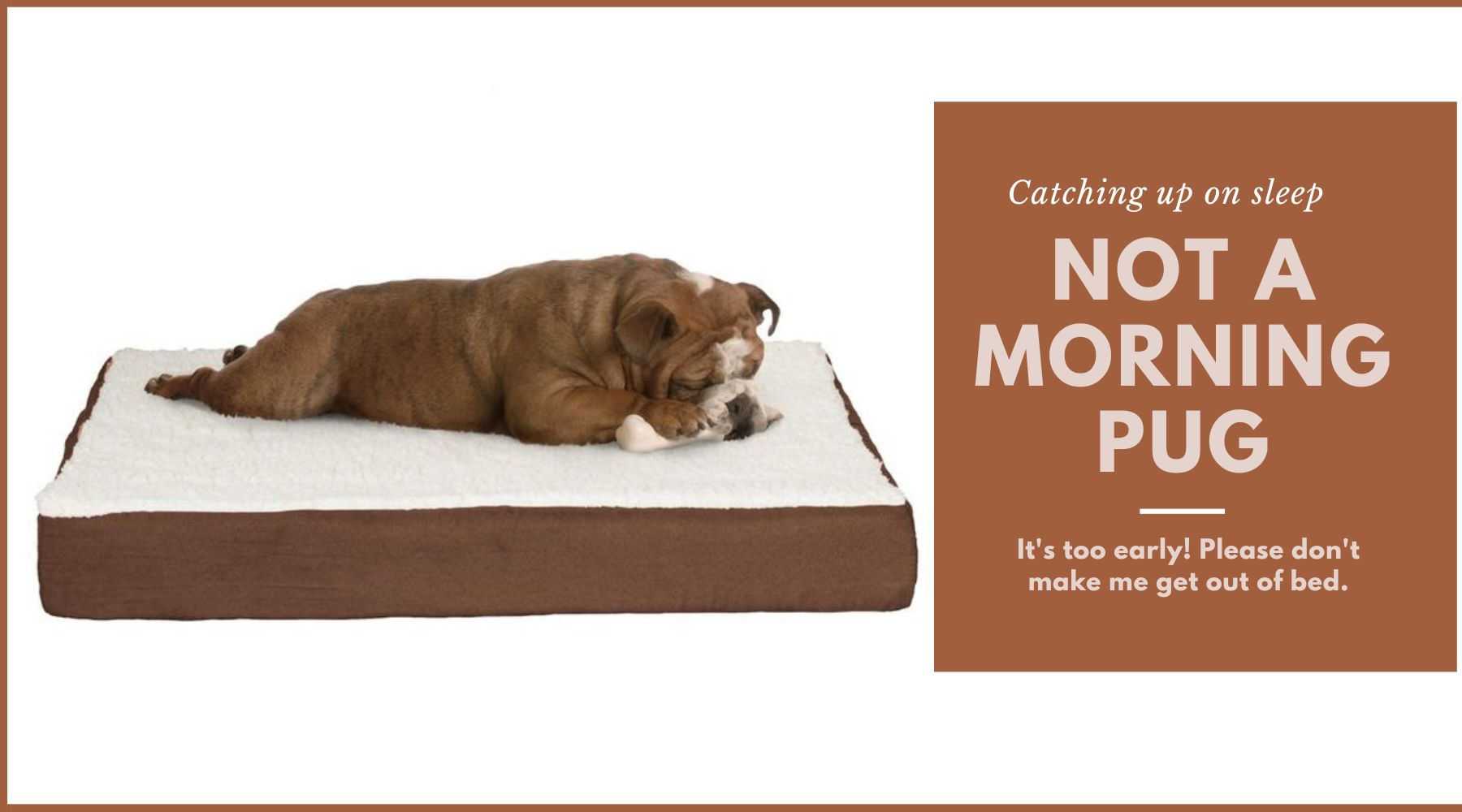 Orthopedic dog beds collection