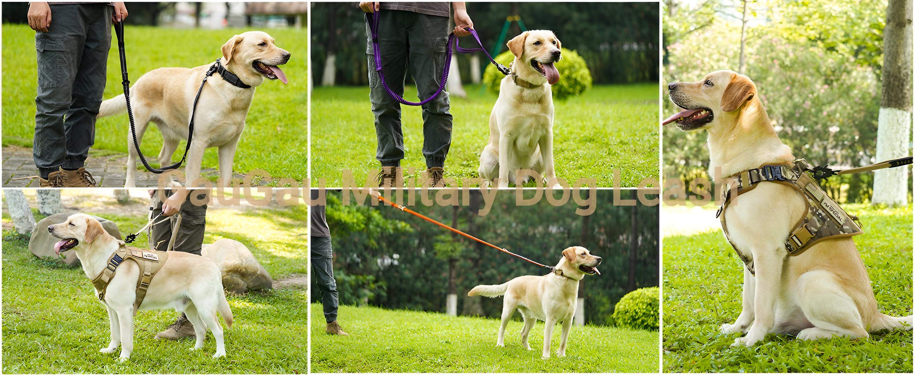 GauGau military Dog Leash