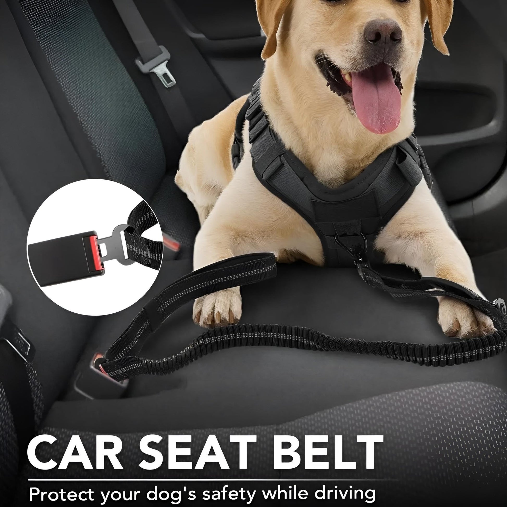 Heavy Duty Tactical Dog Leash with Frog Clip is designed with 1 seat belt buckle to keep your dog safety while you driving