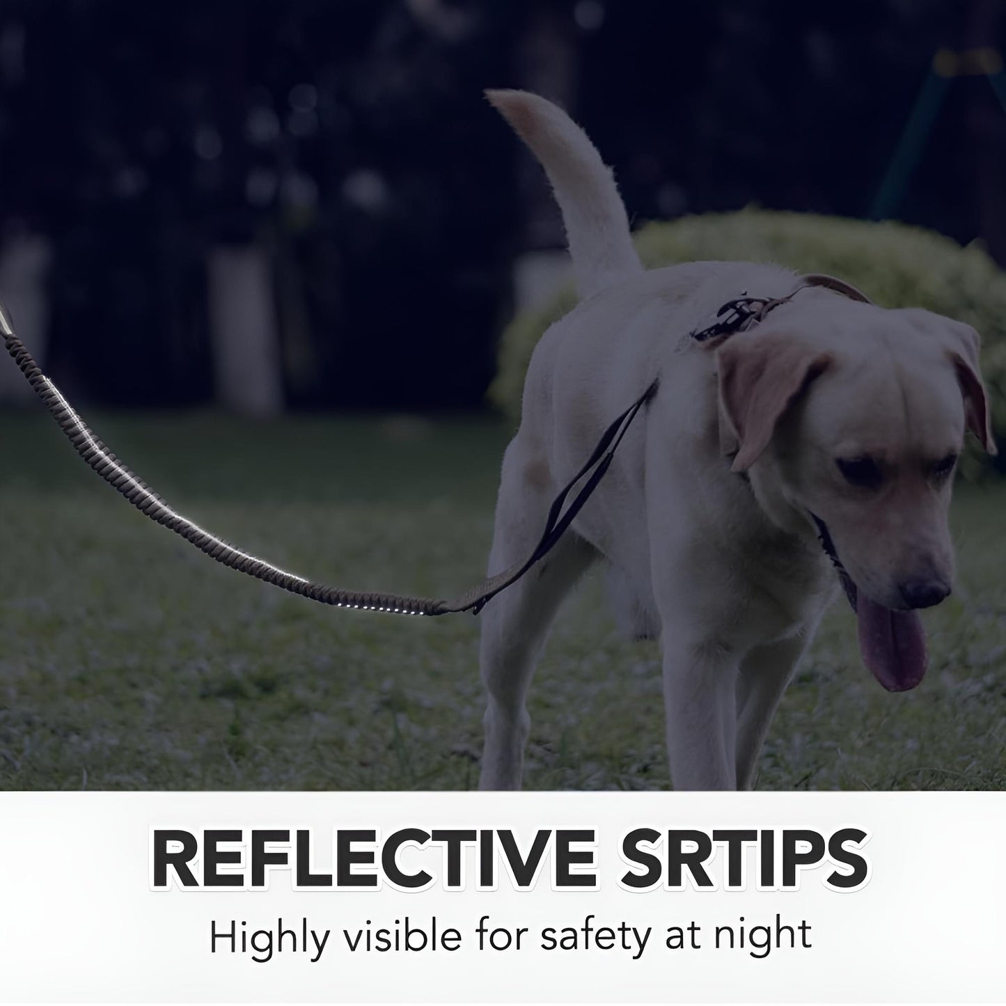 Heavy Duty Tactical Dog Leash with Frog Clip is designed with reflective strips