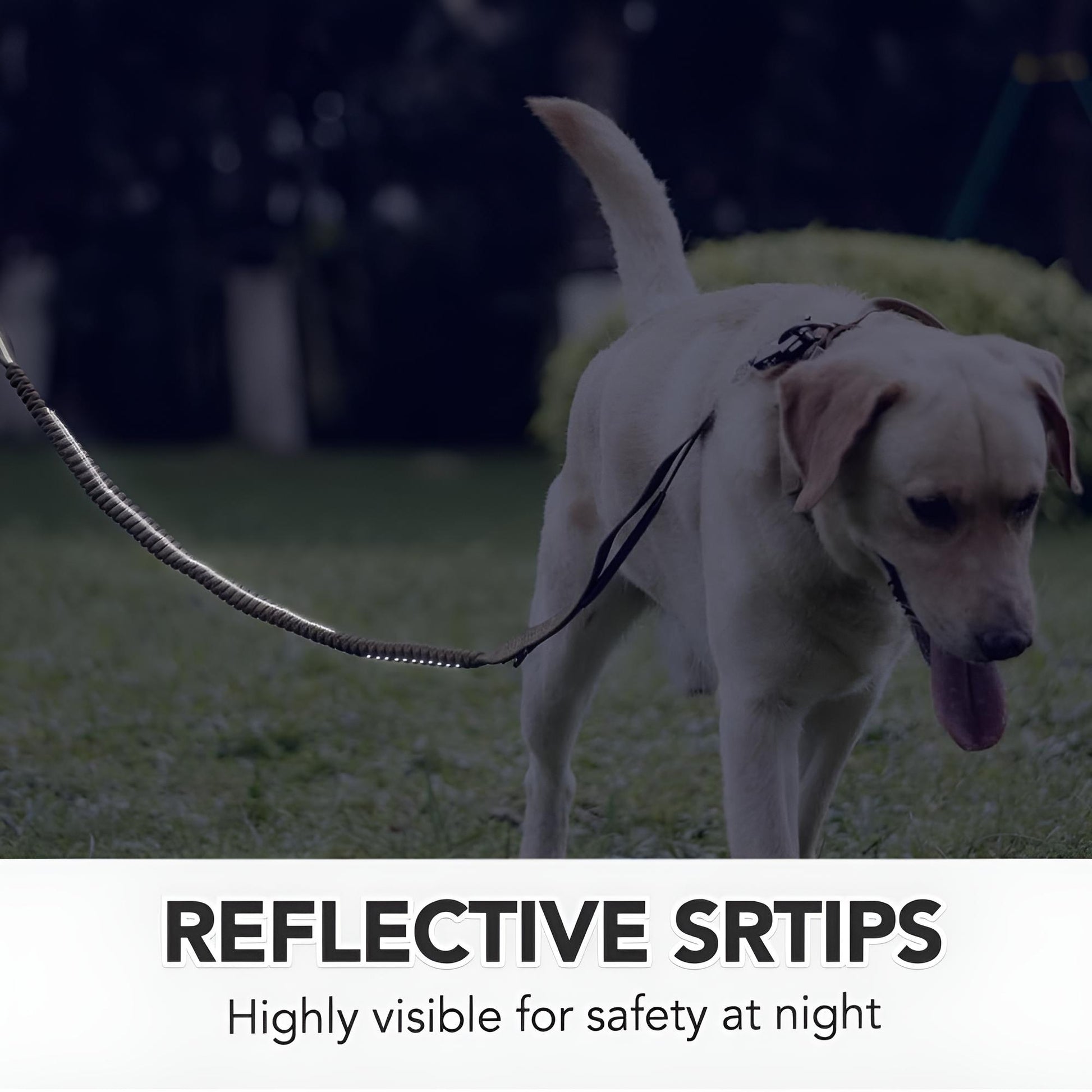 Heavy Duty Tactical Dog Leash with Frog Clip is designed with reflective strips