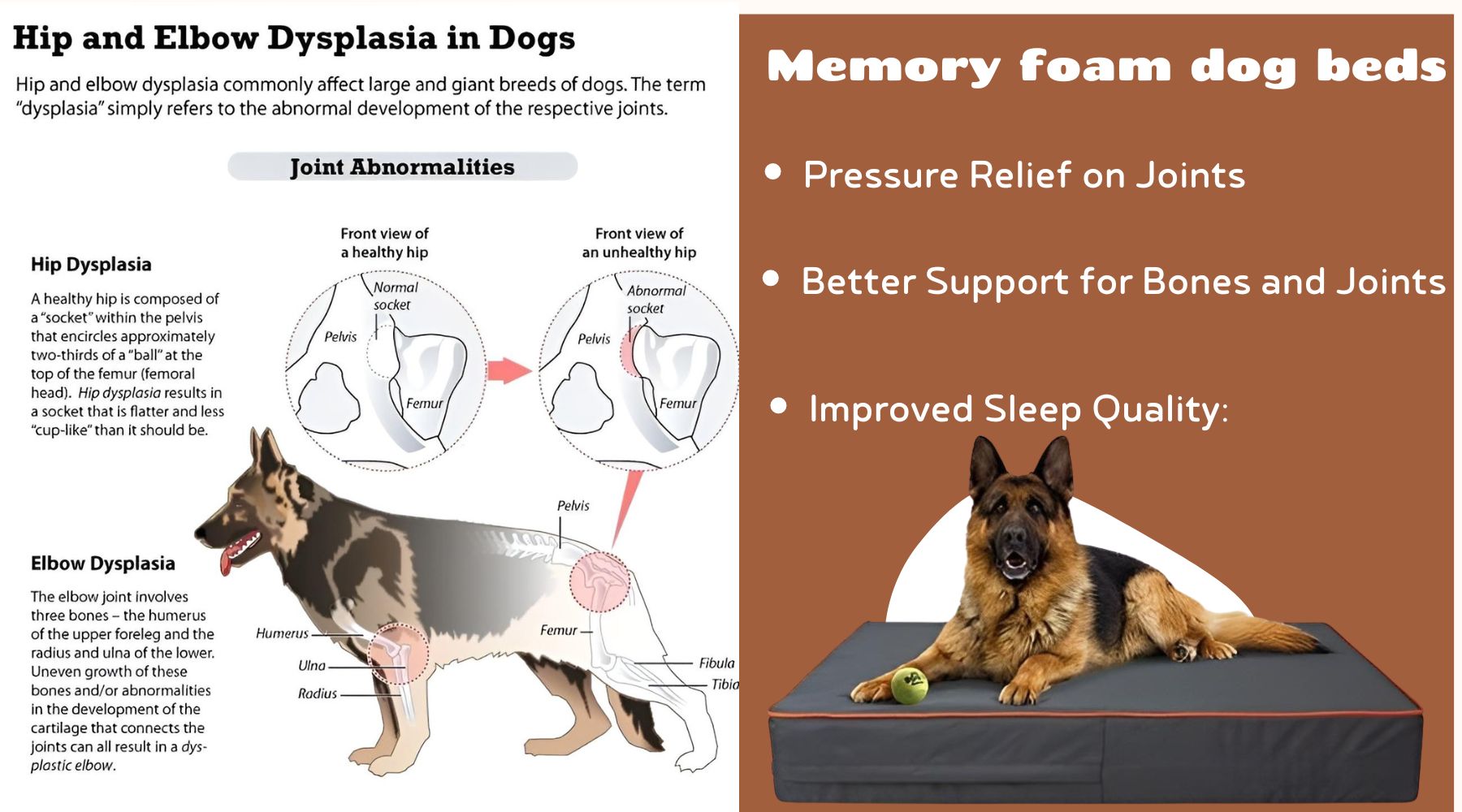 Hip Dysplasia in Dogs, Signs, Diagnosis and Treatment