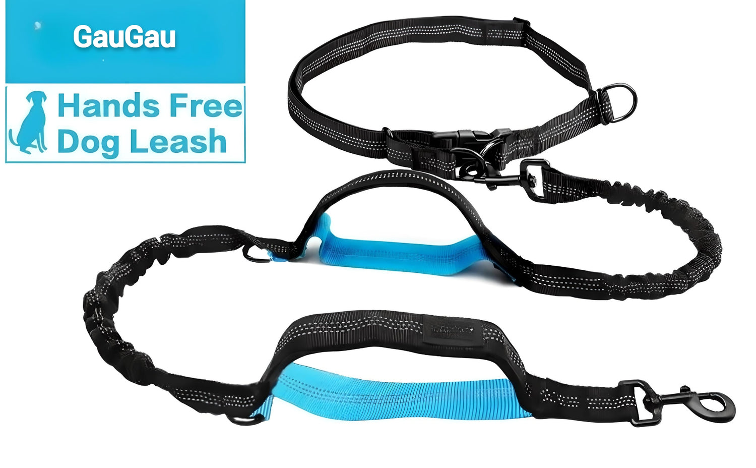running dog leash hands free