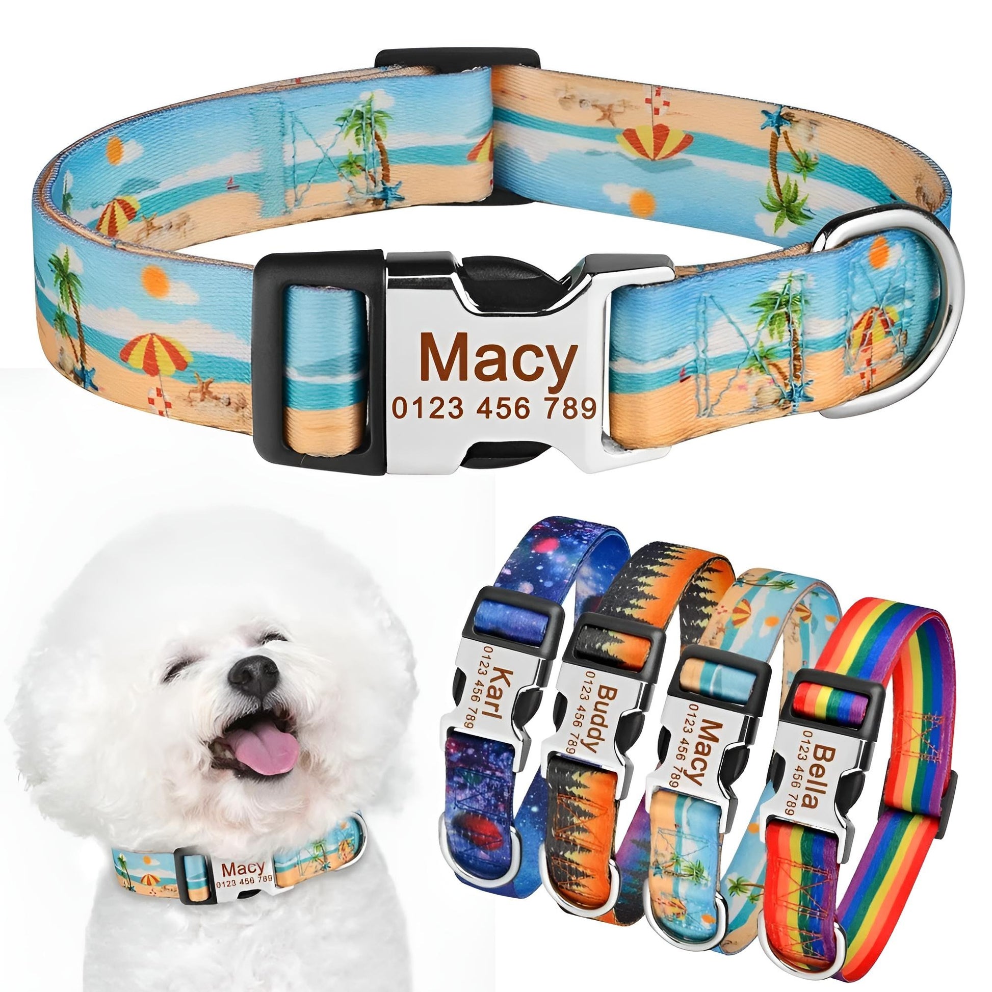 Nylon Dog Tag Collar Set