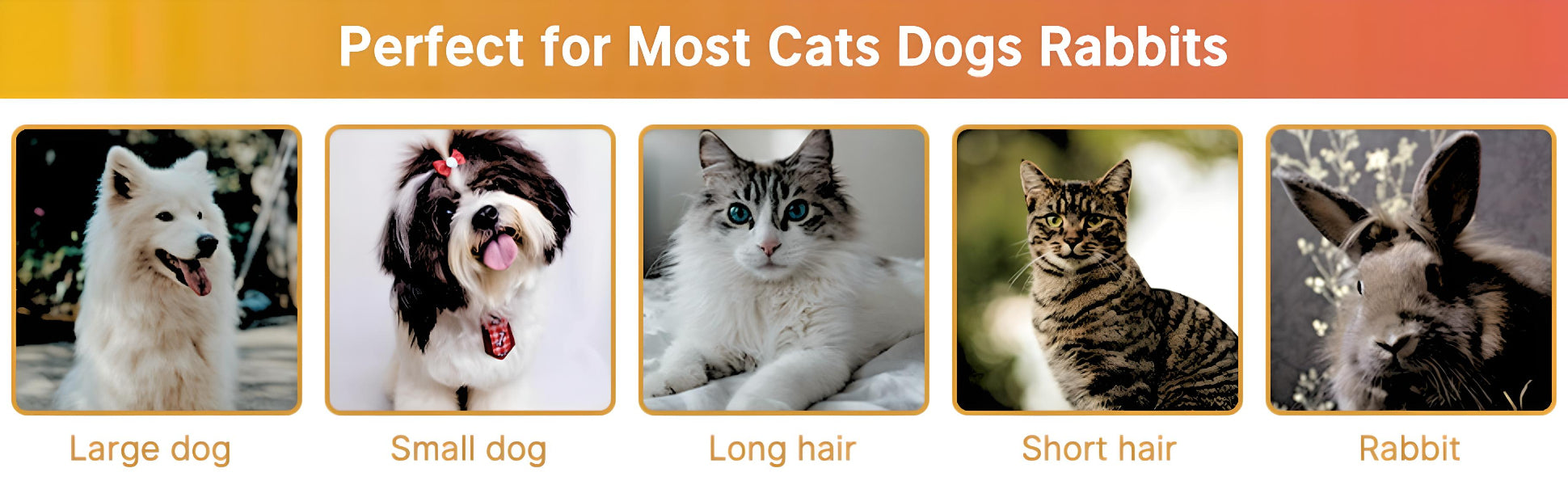 Pet brush