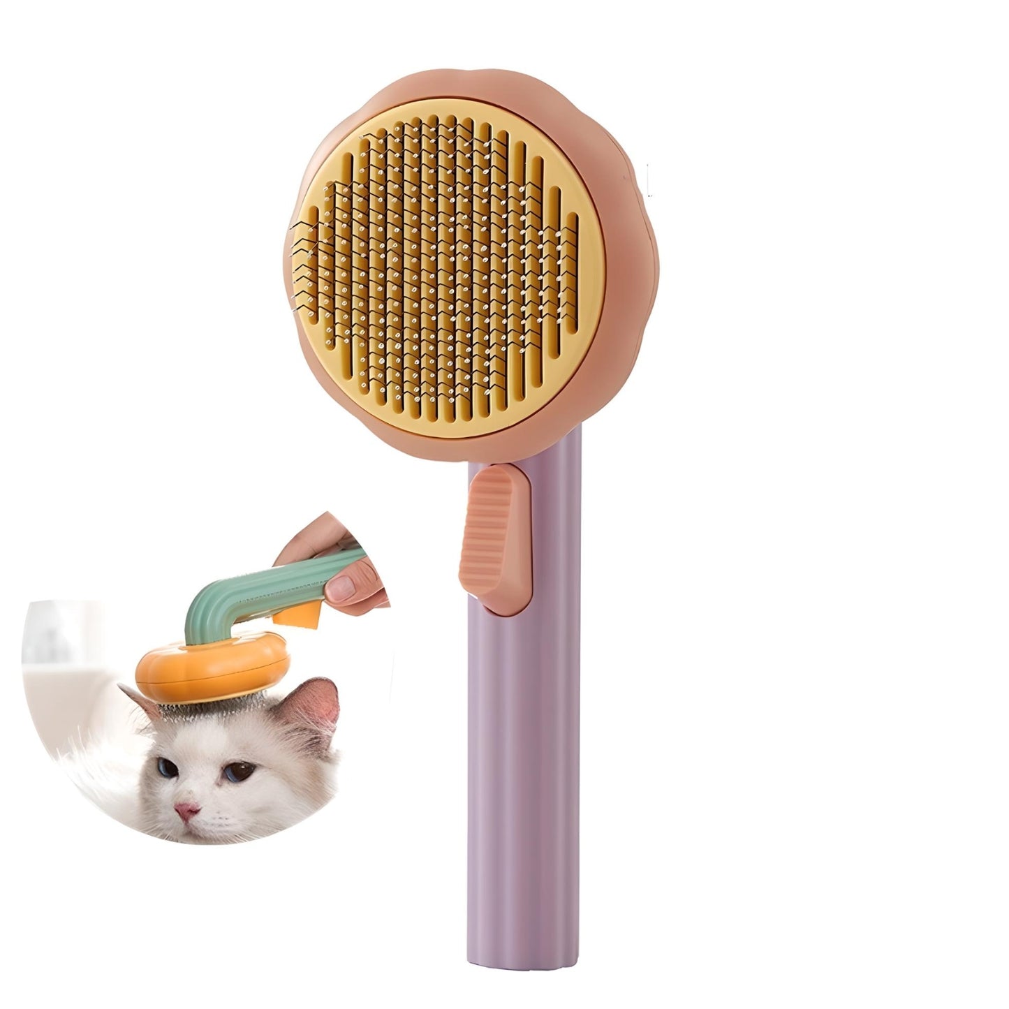 Pumpkin Gaugaupet purple