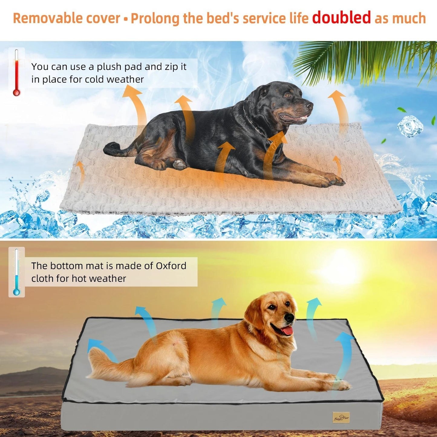 best orthopedic dog beds for large dogs