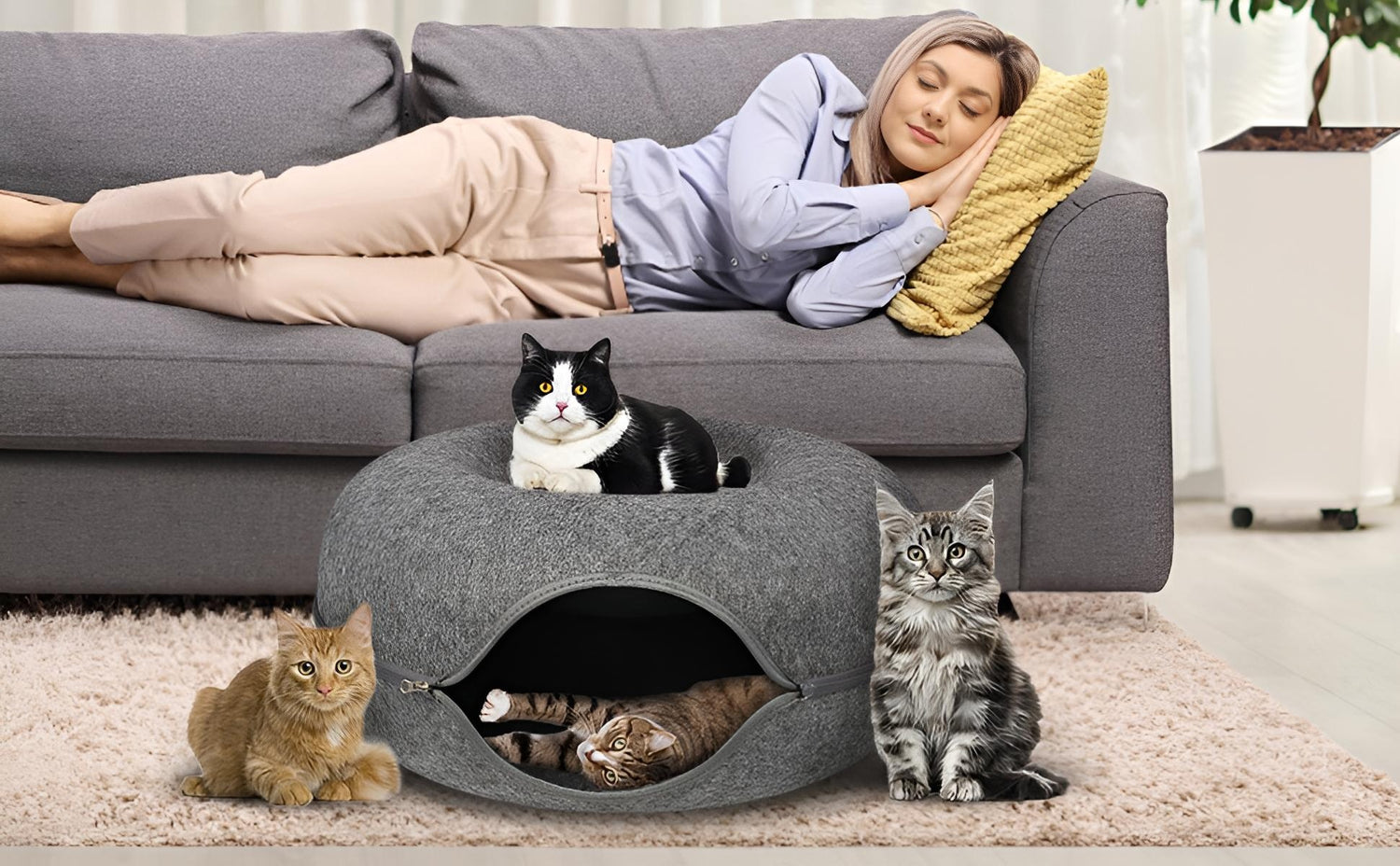cat bed tunnel