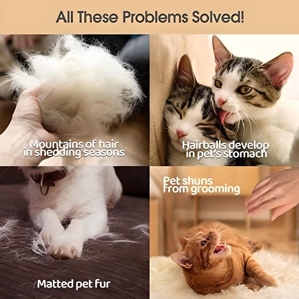 cat washing gloves