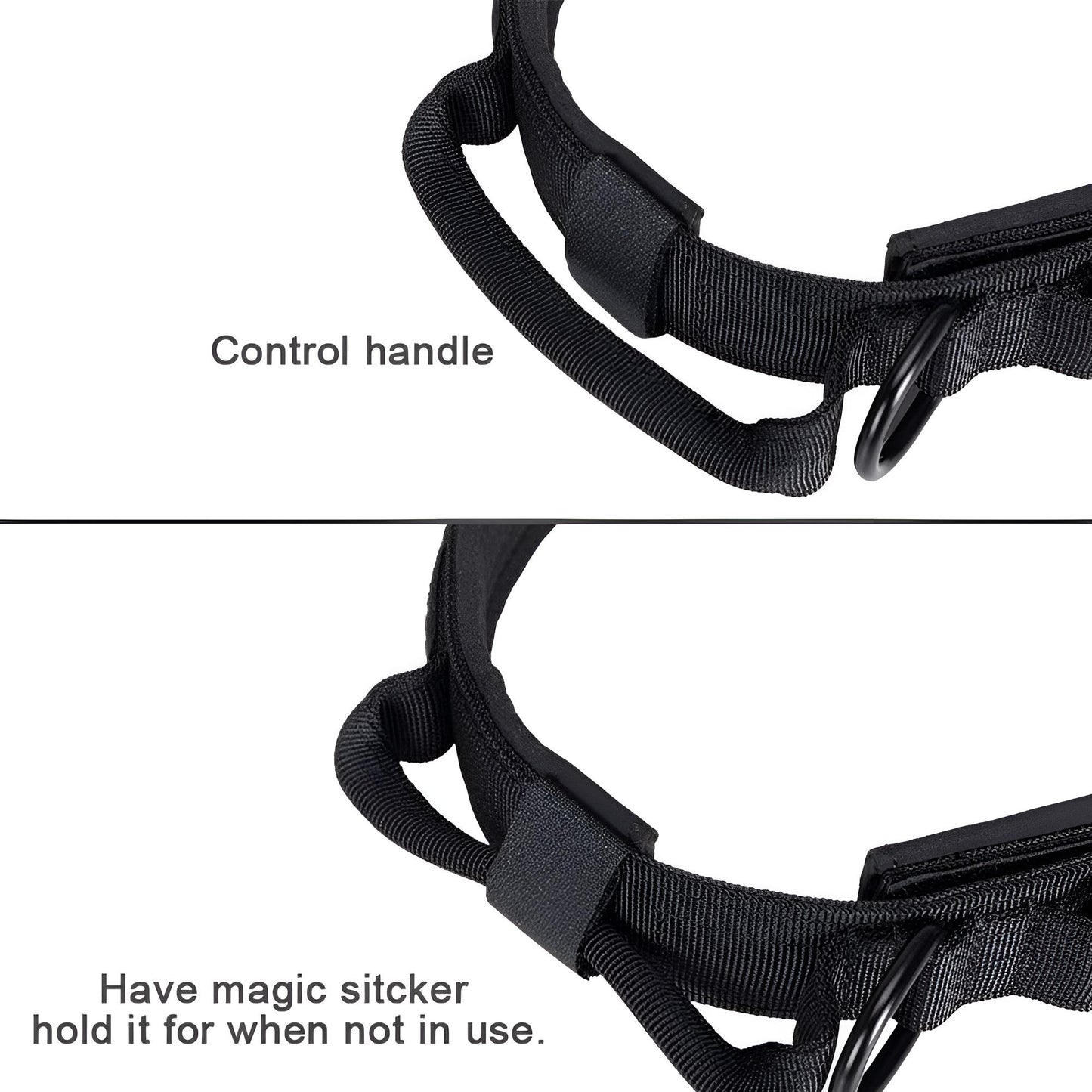 collar for dogs