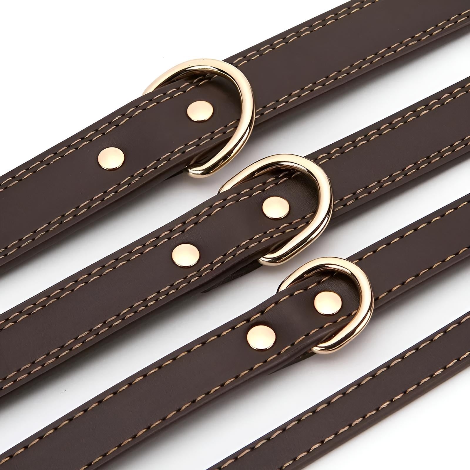 custom coon dog collars