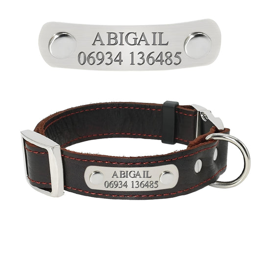 Personalized Dog Collar | Custom Leather Dog Collars with Name Tag | GauGau
