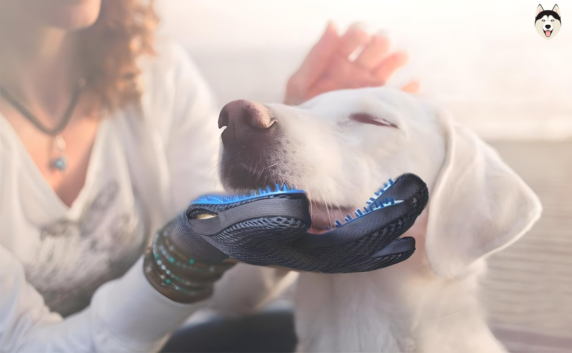 dog bath gloves