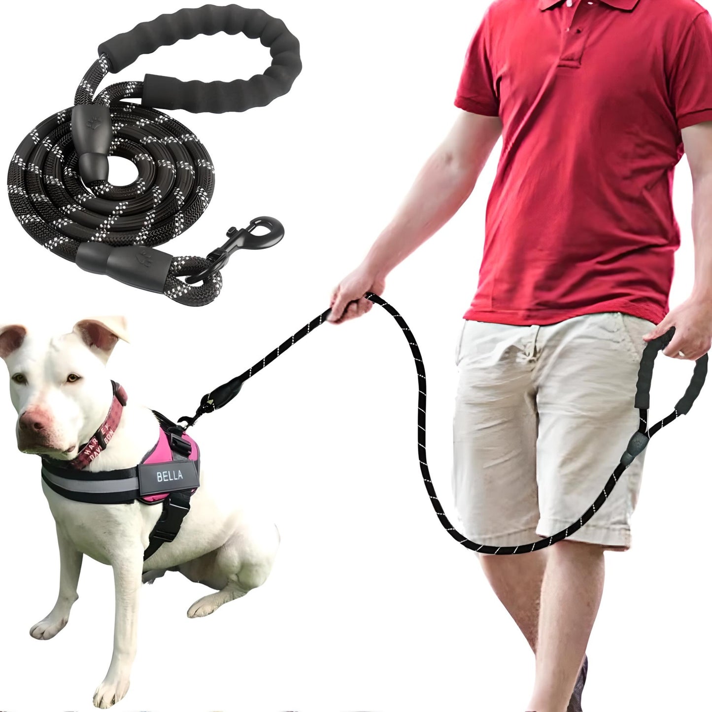 dog leashes for medium dogs