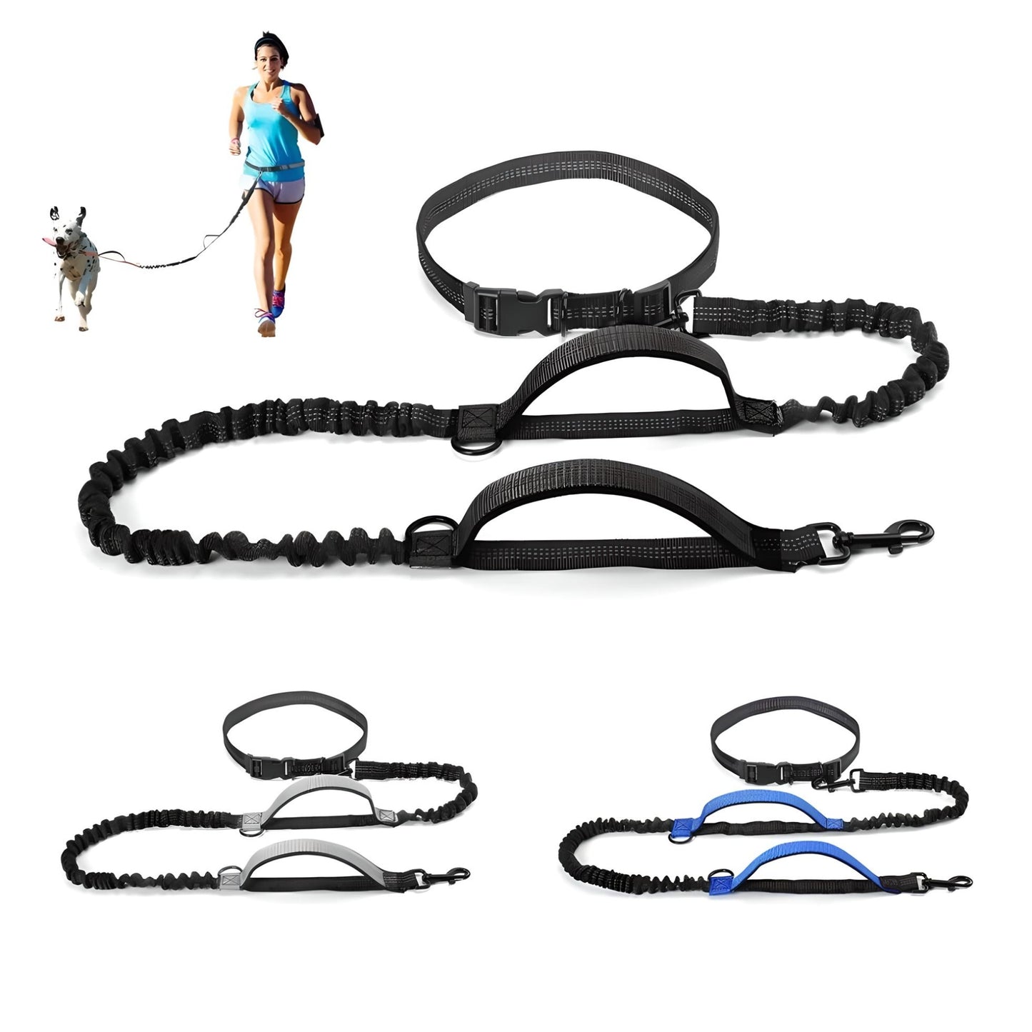 dog leash with two handles