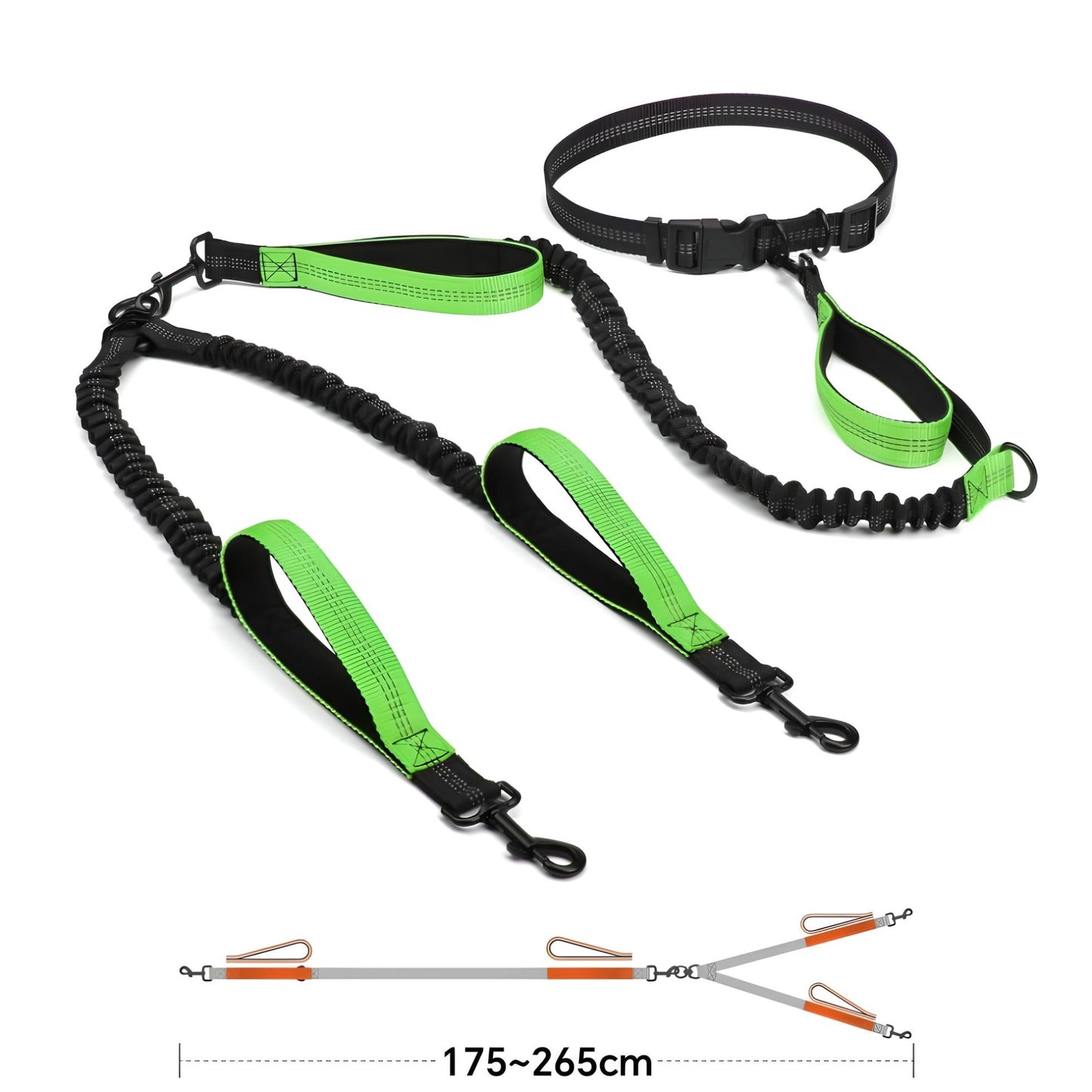 double dog leash for two dogs H2F green