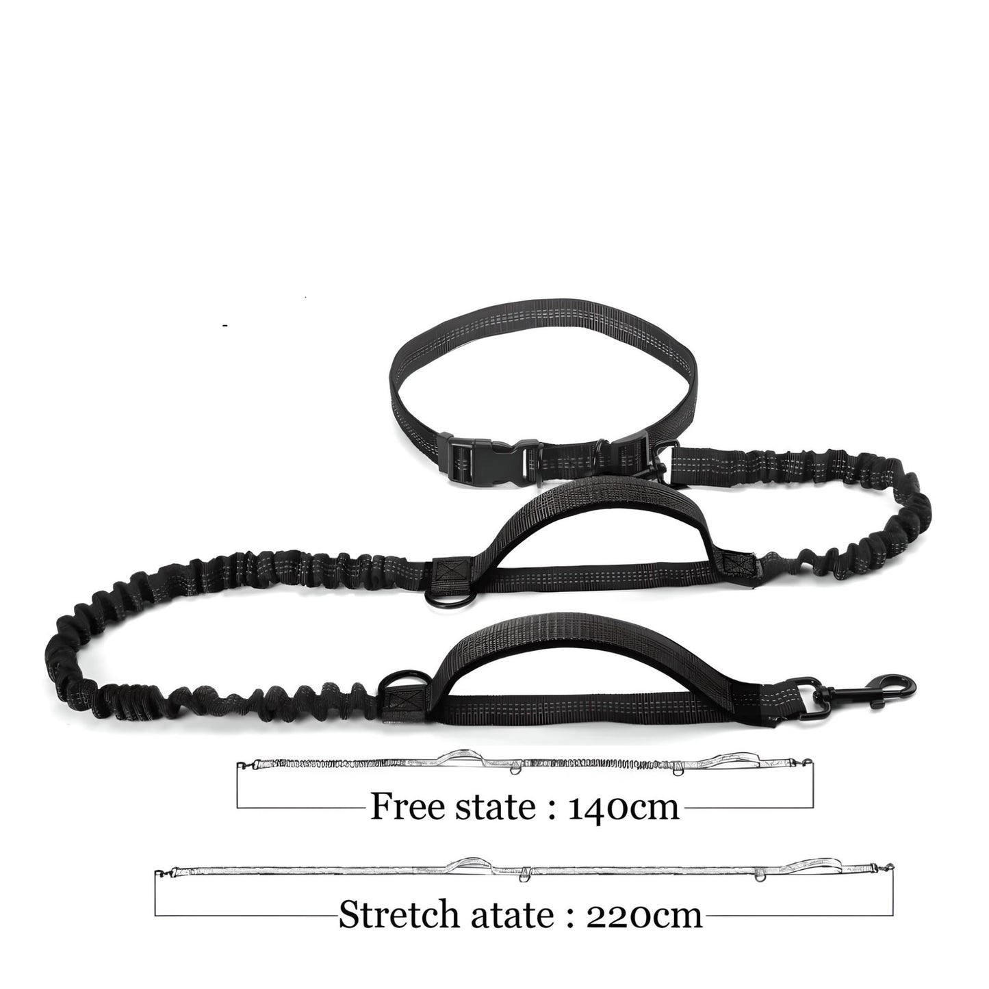 hands free dog leash H2 black