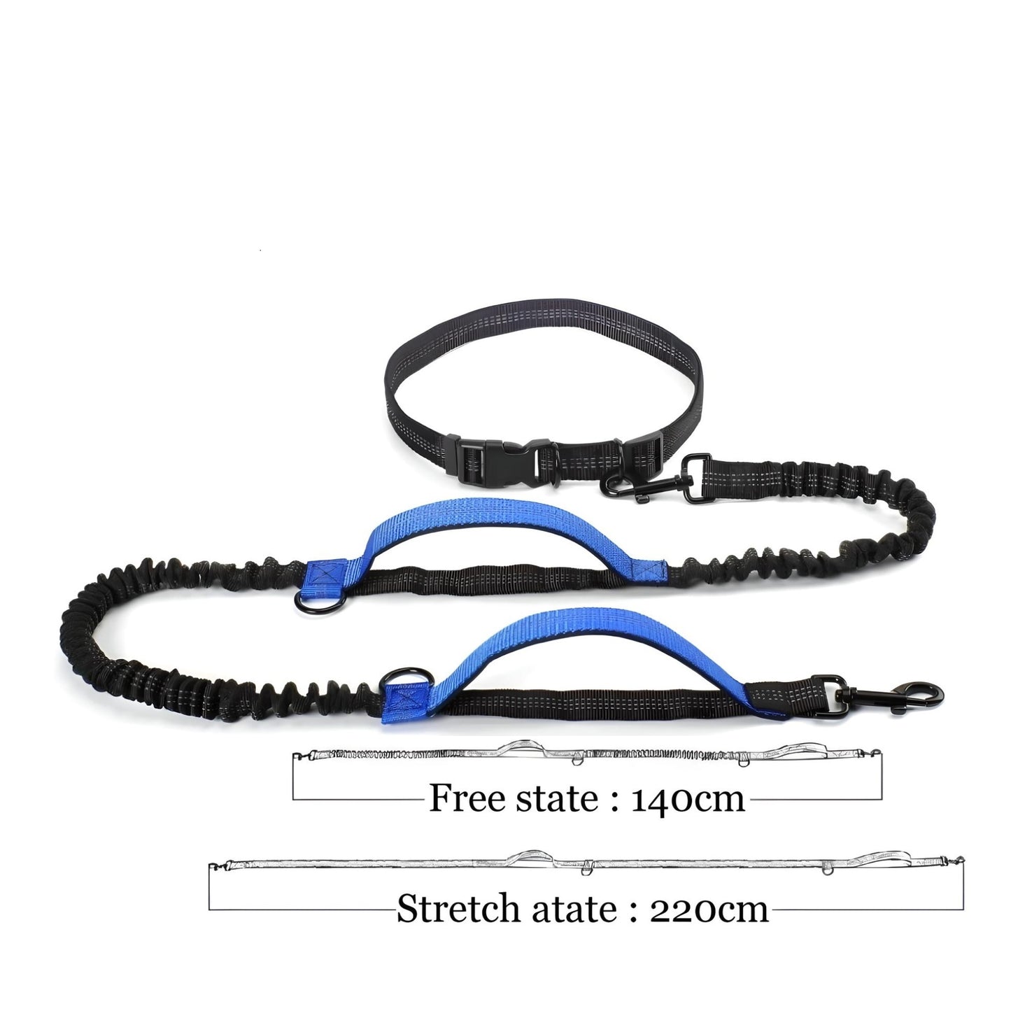 hands free dog leash H2 blue