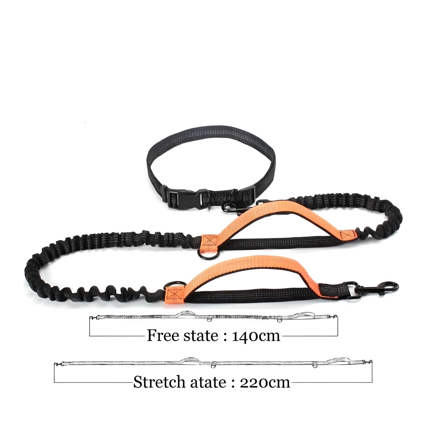 hands free dog leash H2 orange