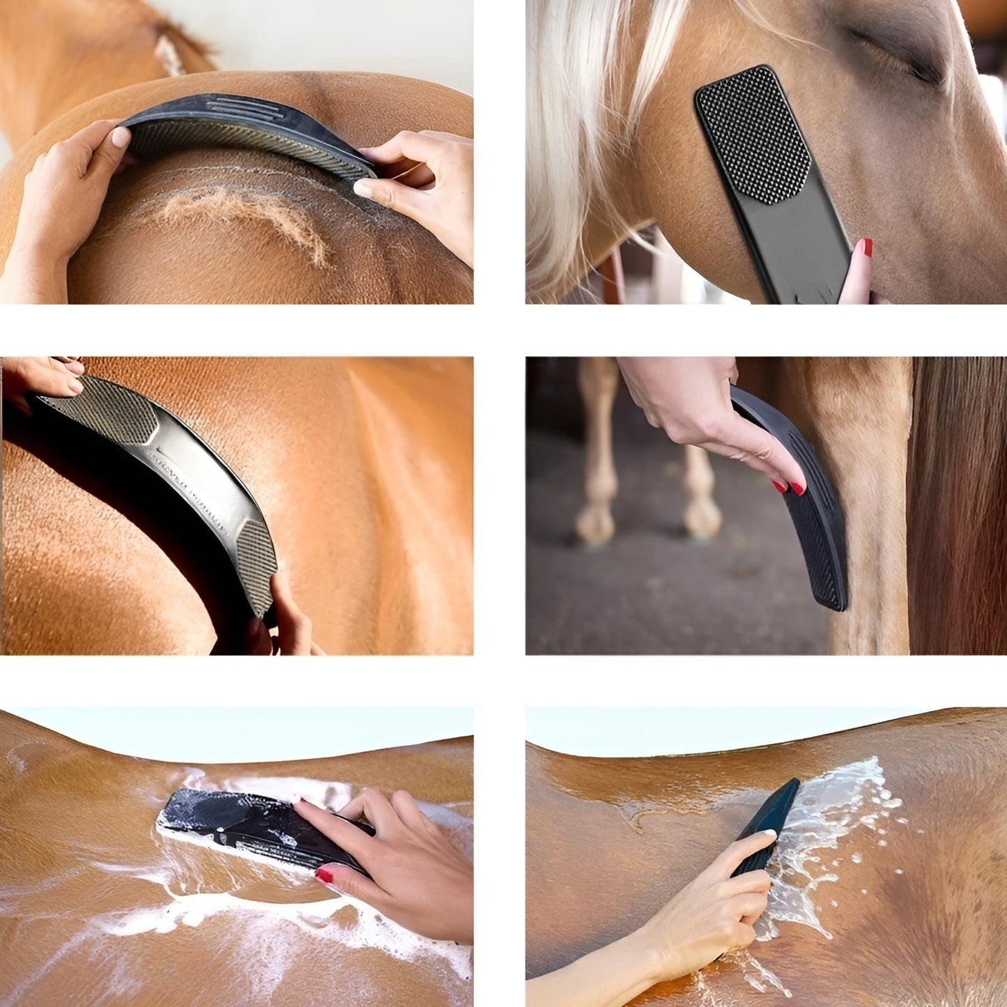 horse grooming