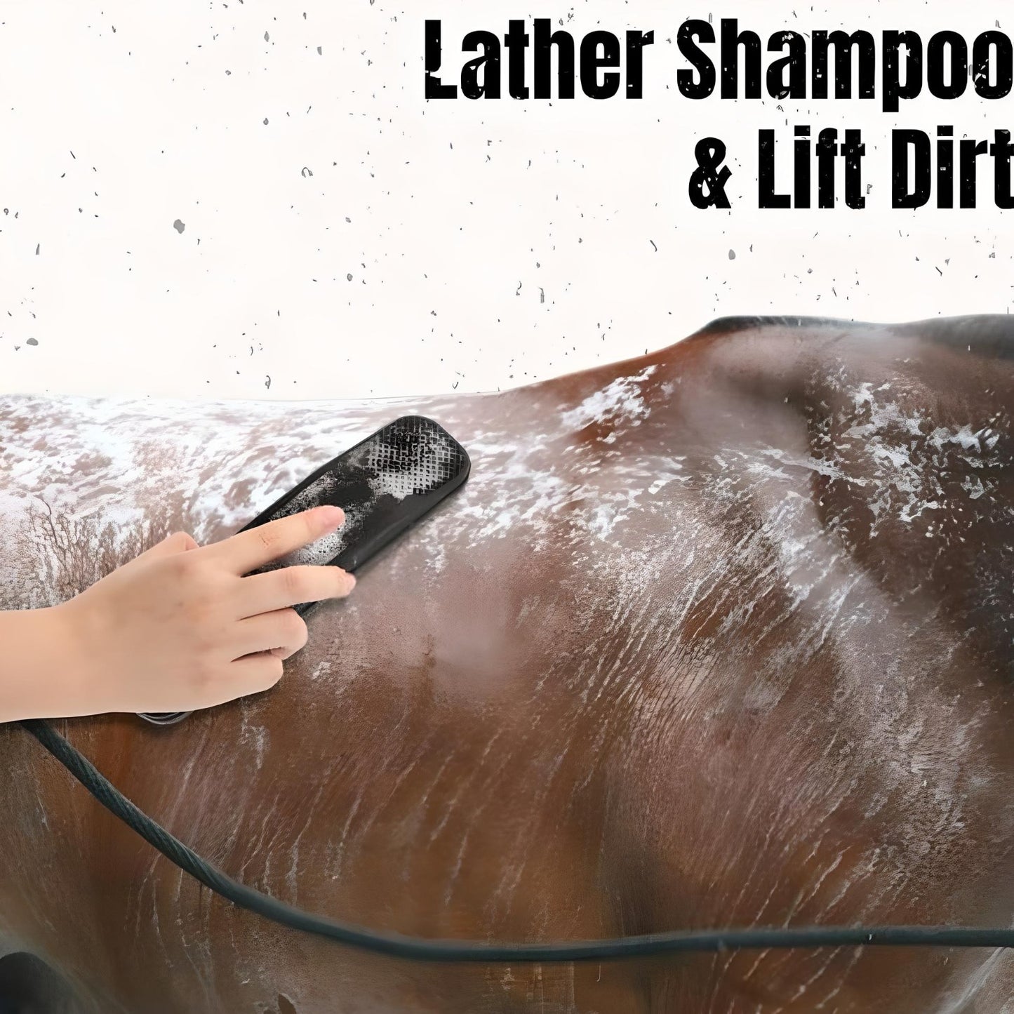 horse grooming supplies