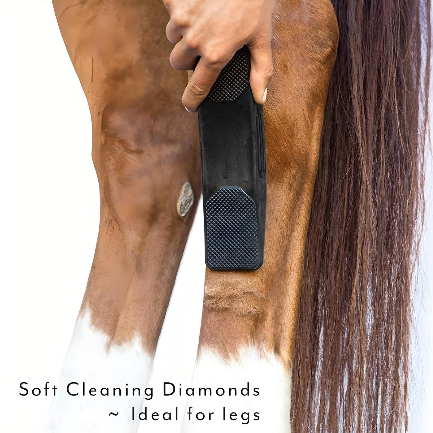 horse mane and tail brush