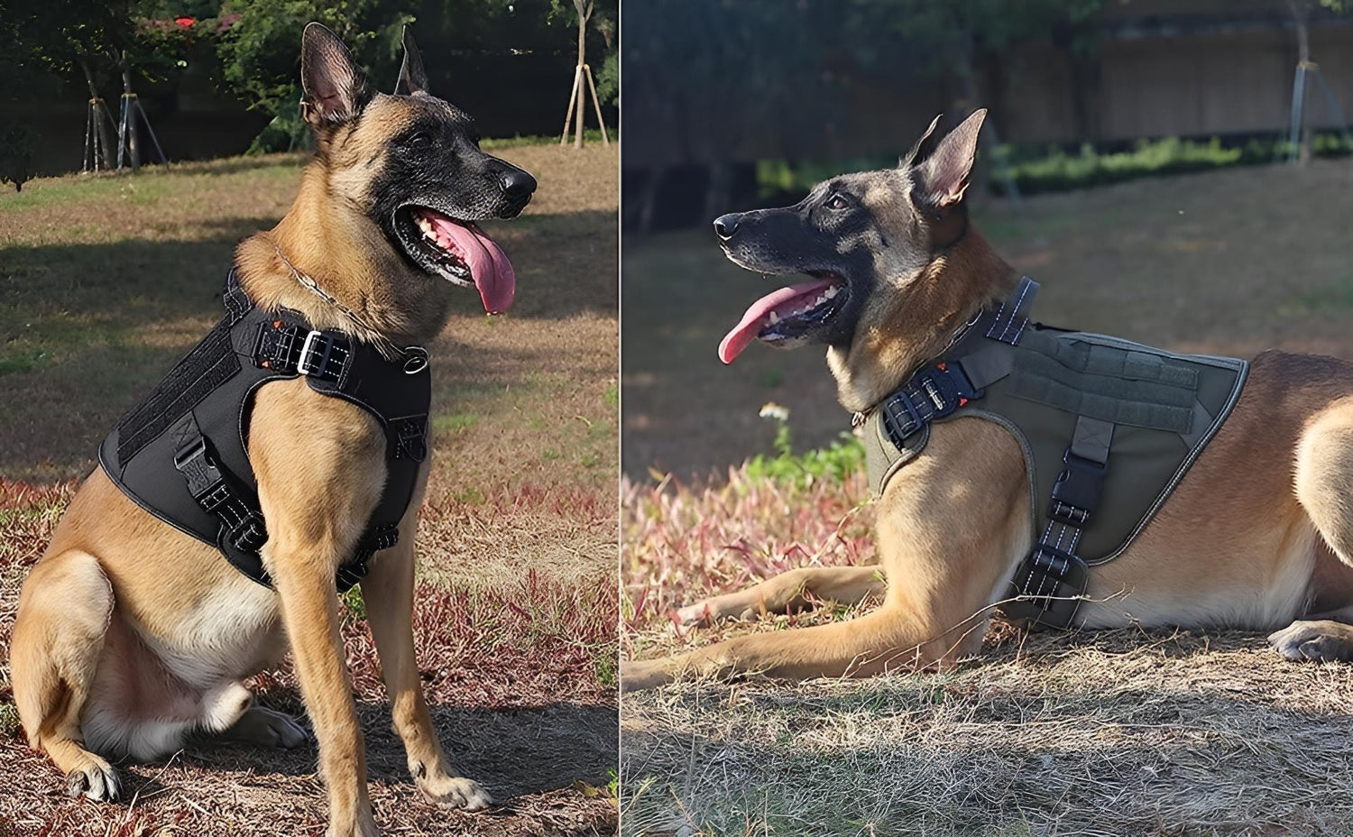 large dog harness heavy duty