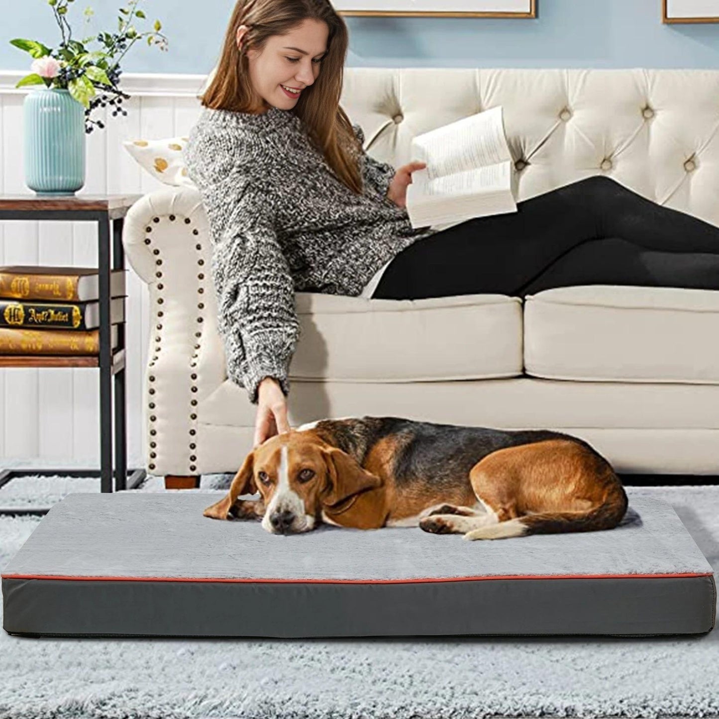 orthopedic dog bed