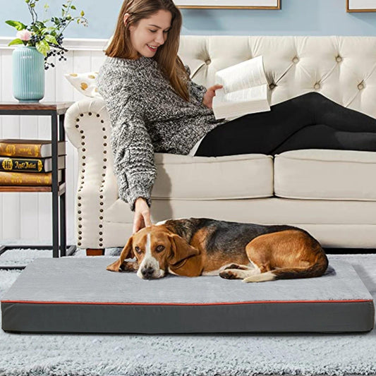 orthopedic dog bed