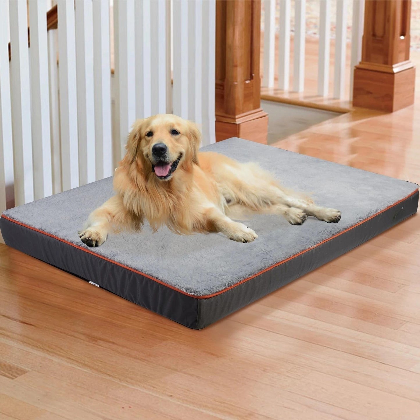 orthopedic dog bed large
