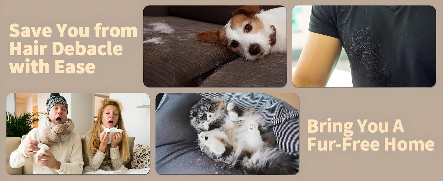 pet hair allergy
