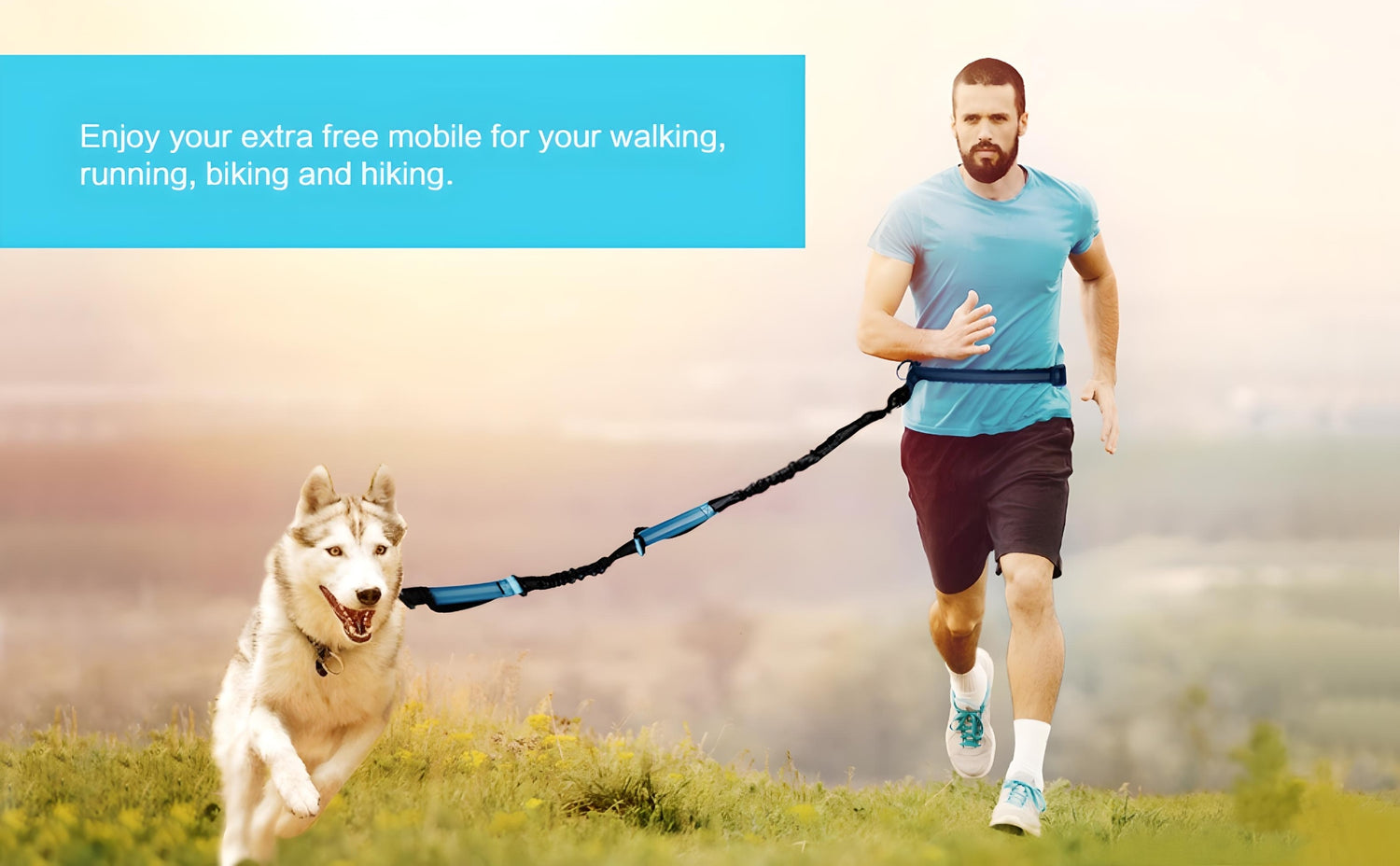 running dog leash