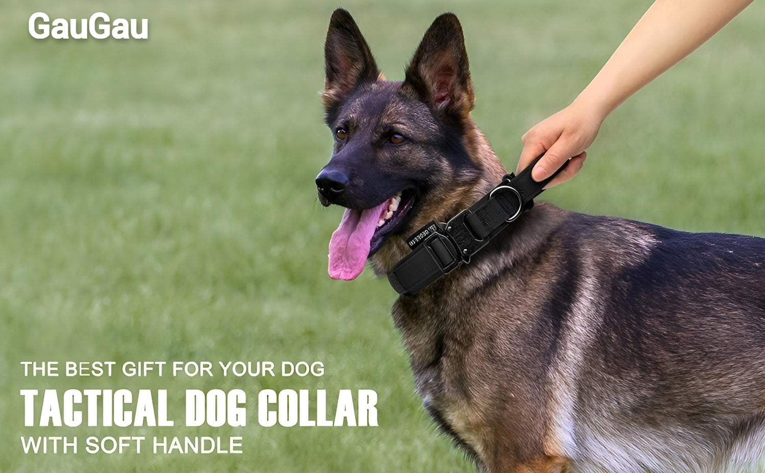 tactical dog collar with handle GauGau