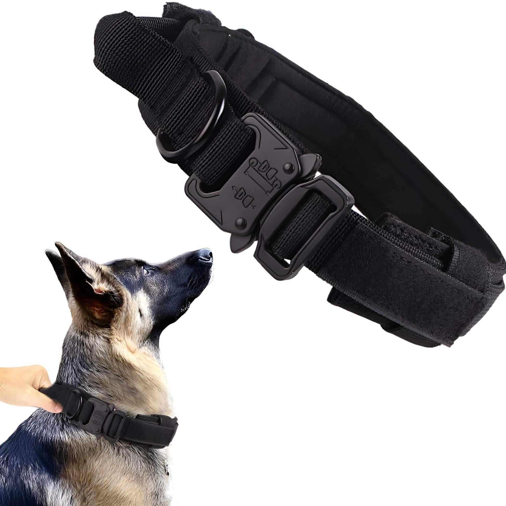 tactical collar black